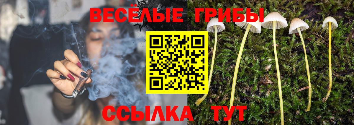 Галлюциногенные грибы прущие грибы  Галлюциногенные грибы MAGIC MUSHROOMS  Кисловодск  Вход с VPN 